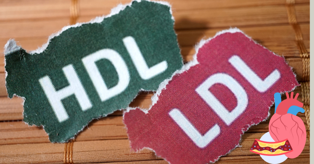 Triglicerídeos e Colesterol: Mitos e Verdades